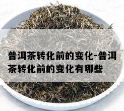 普洱茶转化前的变化-普洱茶转化前的变化有哪些