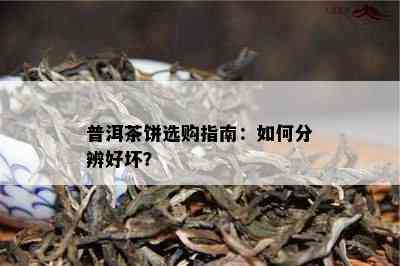 普洱茶饼选购指南：如何分辨好坏？