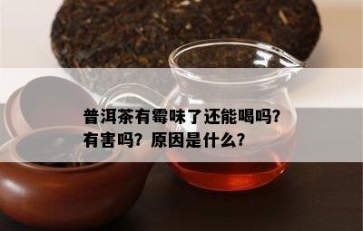 普洱茶有霉味了还能喝吗？有害吗？原因是什么？