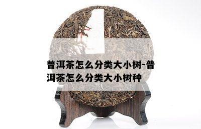 普洱茶怎么分类大小树-普洱茶怎么分类大小树种