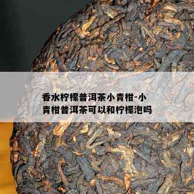 香水柠檬普洱茶小青柑-小青柑普洱茶可以和柠檬泡吗