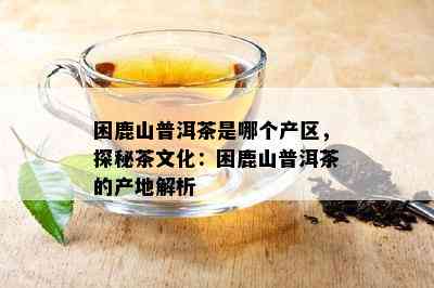 困鹿山普洱茶是哪个产区，探秘茶文化：困鹿山普洱茶的产地解析