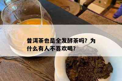 普洱茶也是全发酵茶吗？为什么有人不喜欢喝？