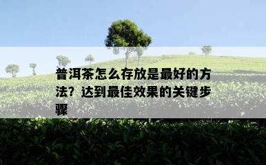 普洱茶怎么存放是更好的方法？达到更佳效果的关键步骤