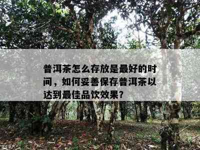 普洱茶怎么存放是更好的时间，如何妥善保存普洱茶以达到更佳品饮效果？