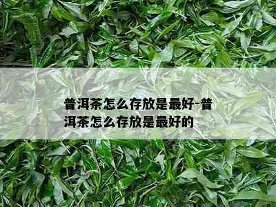 普洱茶怎么存放是更好-普洱茶怎么存放是更好的