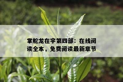 掌舵龙在宇第四部：在线阅读全本，免费阅读最新章节