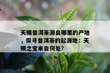 天赐普洱茶源自哪里的产地，探寻普洱茶的起源地：天赐之宝来自何处？