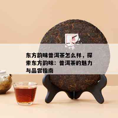 东方韵味普洱茶怎么样，探索东方韵味：普洱茶的魅力与品尝指南