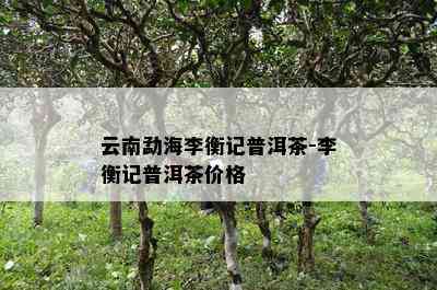 云南勐海李衡记普洱茶-李衡记普洱茶价格