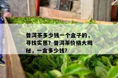 普洱茶多少钱一个盒子的，寻找实惠？普洱茶价格大揭秘，一盒多少钱？