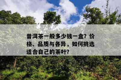 普洱茶一般多少钱一盒？价格、品质与各异，如何挑选适合自己的茶叶？