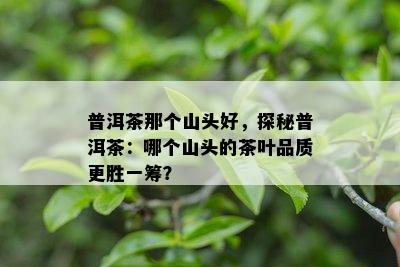 普洱茶那个山头好，探秘普洱茶：哪个山头的茶叶品质更胜一筹？