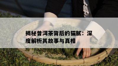 揭秘普洱茶背后的猫腻：深度解析其故事与真相