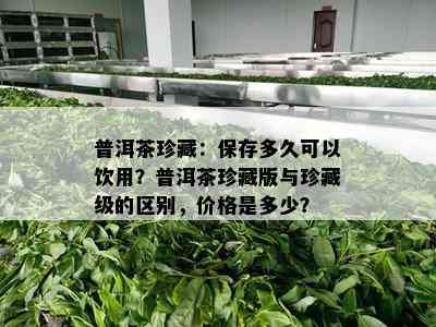 普洱茶珍藏：保存多久可以饮用？普洱茶珍藏版与珍藏级的区别，价格是多少？