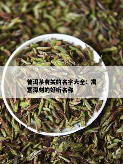 普洱茶有关的名字大全：寓意深刻的好听名称