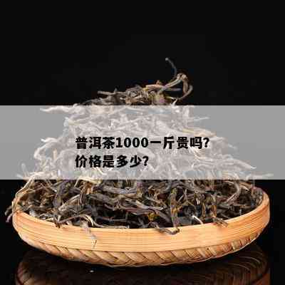 普洱茶1000一斤贵吗？价格是多少？