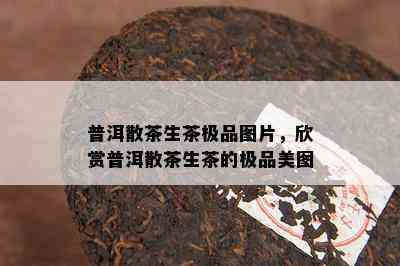 普洱散茶生茶极品图片，欣赏普洱散茶生茶的极品美图