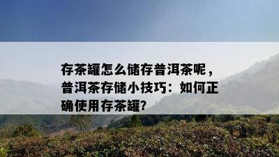 存茶罐怎么储存普洱茶呢，普洱茶存储小技巧：如何正确使用存茶罐？