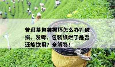 普洱茶包装损坏怎么办？破损、发霉、包装纸烂了是否还能饮用？全解答！