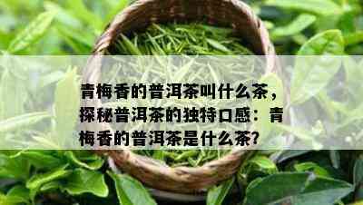 青梅香的普洱茶叫什么茶，探秘普洱茶的独特口感：青梅香的普洱茶是什么茶？