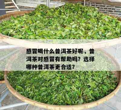 感冒喝什么普洱茶好呢，普洱茶对感冒有帮助吗？选择哪种普洱茶更合适？