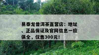 易泰龙普洱茶直营店：地址、正品保证及官网信息一应俱全，仅售300元！