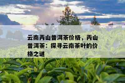 云南丙山普洱茶价格，丙山普洱茶：探寻云南茶叶的价格之谜