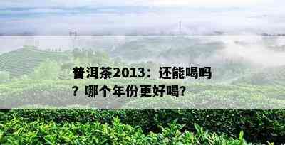 普洱茶2013：还能喝吗？哪个年份更好喝？