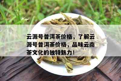 云源号普洱茶价格，了解云源号普洱茶价格，品味云南茶文化的独特魅力！