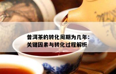 普洱茶的转化周期为几年：关键因素与转化过程解析