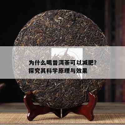 为什么喝普洱茶可以减肥？探究其科学原理与效果