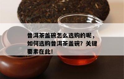 普洱茶盖碗怎么选购的呢，如何选购普洱茶盖碗？关键要素在此！