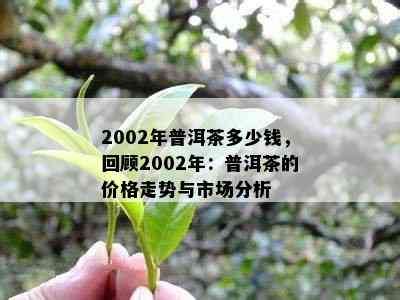 2002年普洱茶多少钱，回顾2002年：普洱茶的价格走势与市场分析