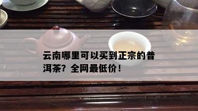 云南哪里可以买到正宗的普洱茶？全网更低价！