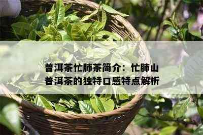 普洱茶忙肺茶简介：忙肺山普洱茶的独特口感特点解析