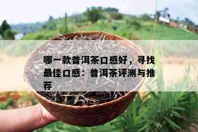 哪一款普洱茶口感好，寻找更佳口感：普洱茶评测与推荐