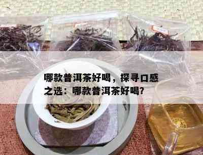 哪款普洱茶好喝，探寻口感之选：哪款普洱茶好喝？