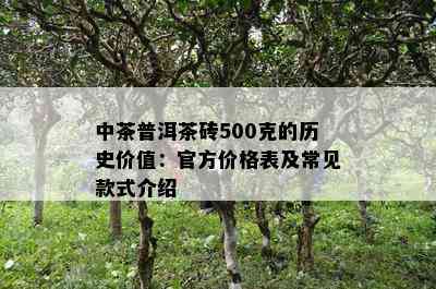 中茶普洱茶砖500克的历史价值：官方价格表及常见款式介绍