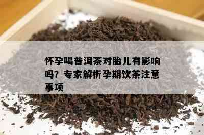 怀孕喝普洱茶对胎儿有影响吗？专家解析孕期饮茶注意事项