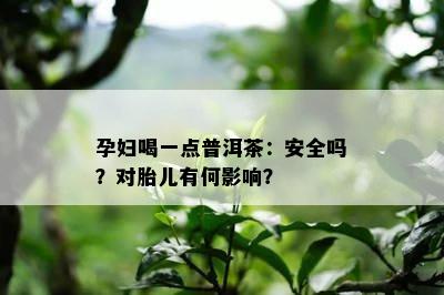 孕妇喝一点普洱茶：安全吗？对胎儿有何影响？