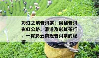 彩虹之滇普洱茶：揭秘普洱彩虹公路、滑道及彩虹茶行，一探彩云南现普洱茶的秘密