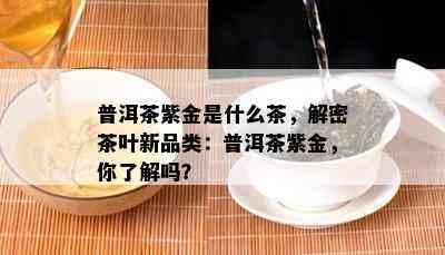 普洱茶紫金是什么茶，解密茶叶新品类：普洱茶紫金，你了解吗？