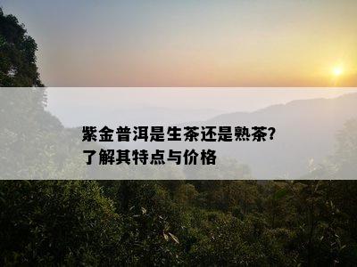 紫金普洱是生茶还是熟茶？了解其特点与价格