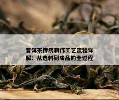 普洱茶传统制作工艺流程详解：从选料到成品的全过程