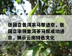 张国立普洱茶马帮进京，张国立率领普洱茶马帮成功进京，展示云南特色文化