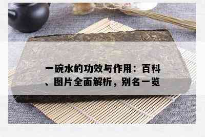 一碗水的功效与作用：百科、图片全面解析，别名一览