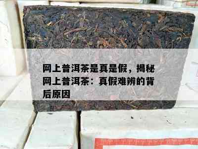 网上普洱茶是真是假，揭秘网上普洱茶：真假难辨的背后原因