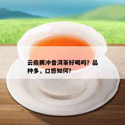 云南腾冲普洱茶好喝吗？品种多，口感如何？