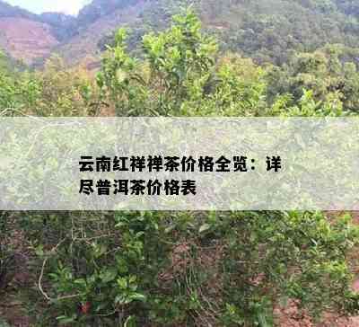 云南红祥禅茶价格全览：详尽普洱茶价格表